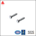 China-Anbieter sus 304 bolt